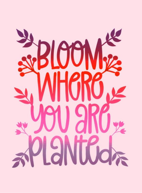 Bloom Where Planted Pink Card placeholder